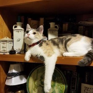 Meet your Posher, Mary